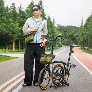 Rockbros W020-1 Foldable Handlebar Bicycle Bag - Green