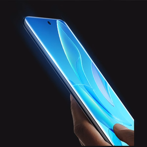 Dux Ducis Curved Glass Tempered glass for Honor 60 Pro with a black frame