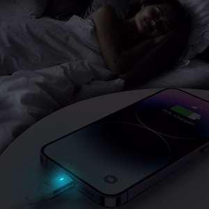 Joyroom Extraordinary Series A10 Lightning / USB-C PD 20W kaapeli 1.2 m - valkoinen