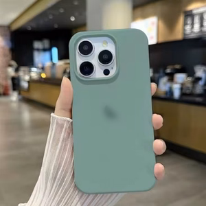 Puhelimen suojakuori Silicone Plastic Pack Apple iPhone 12 Pro Max Cactus (pakkauksessa)