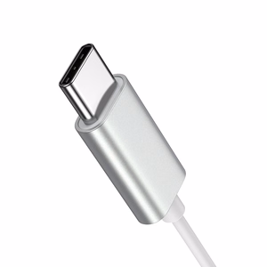 Joyroom JR-EC06 USB-C in-ear kuulokkeet - Hopeinen