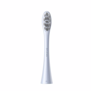 Oclean Professional Clean -harjaspäät 2 kpl P1C9, hopeanväriset