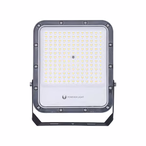 Floodlight LED PROXIM+ 100W 6500K 15000lm 230V IP65 Forever Light 150lm/W 5 years warranty