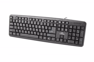 Esperanza TKR101 keyboard Office USB QWERTY English, Russian Black