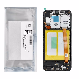 ServicePack LCD-näyttö SAMSUNG A20e A202F GH82-20186A