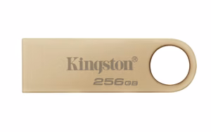 Kingston DataTraveler 256GB 220MB/s metal USB 3.2 Gen 1 SE9 G3