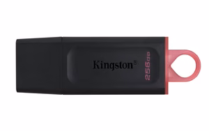 Kingston USB-muisti 256 GB USB 3.2 DT Exodia