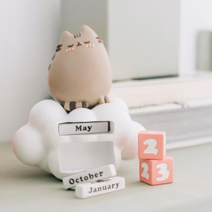Pusheen Purrfect Love 3D -ikikalenteri