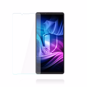 Sony Xperia 10 VIII – 3mk Silky Matt Pro puhelimen näytönsuoja