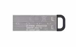Kingston USB-muisti 256 GB USB 3.0 DT Kyson metalli