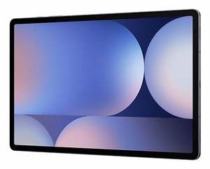 Samsung S10+ 5G 256 GB 31.5 cm (12.4") 12 GB Android 14 harmaa