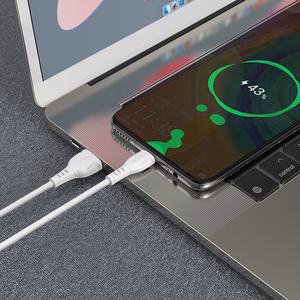 Borofone Kaapeli BX51 Triumph - USB - Type C - 3A 1 metri valkoinen