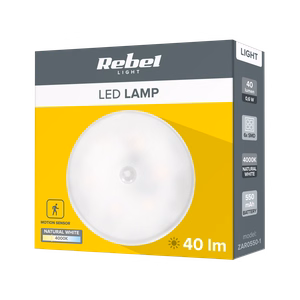 Rechargeable LED night light with magnet and motion sensor