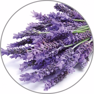 Medisana aromiesenssi Laventeli