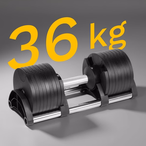 REBEL ACTIVE säädettävä valurautainen käsipaino, 36 kg, säätöväli 2 kg