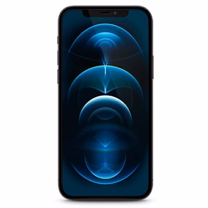 Guess Tempered Glass GUSPP12MSLTR iPhone 12/12 Pro 6.1" Vintage Magic Logo