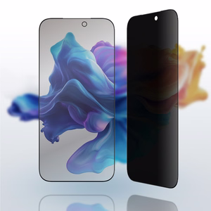 AmazingThing Radix Privacy Tempered Glass for iPhone 17 Pro