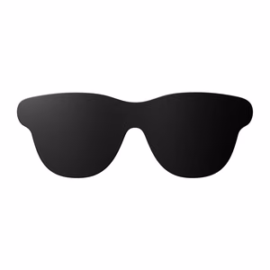 Lens shade RayNeo GT