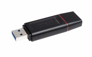 Kingston USB-muisti 256 GB USB 3.2 DT Exodia