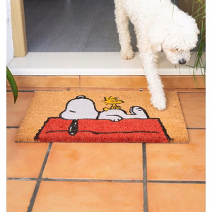 Snoopy-ovimatto