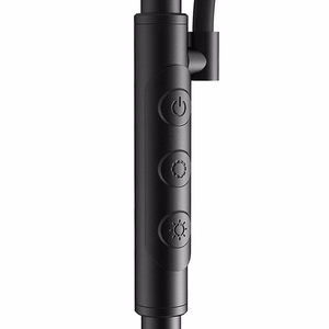 Kaksinkertainen lattiavalaisin kaukosäätimellä BlitzWill BWL-FL-0001, 36W (musta)