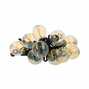 Forever Light FL-2B LED-lamput E12 G40 0.5W 3V 24lm 2200K, kulta, 6pcs