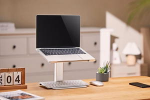 Gembird NBS-D1-02 laptop stand Silver 39.6 cm (15.6")