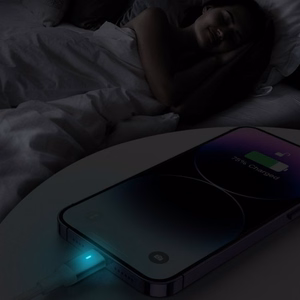 Joyroom Extraordinary Series A10 Lightning / USB-C PD 20W kaapeli 1.2 m - valkoinen
