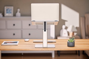 Gembird NBS-D1-02 laptop stand Silver 39.6 cm (15.6")