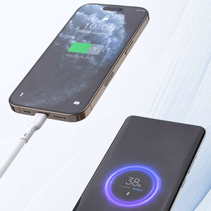 Dudao L9X 30W USB-C - Lightning Kaapeli 1m - Valkoinen