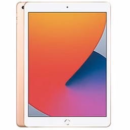 iPad 10.2 (2020)