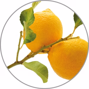 Medisana Aroma essence Lemon