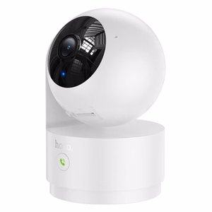 IP Cameras