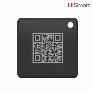 HiSmart RFID-tunnisteet (2 kpl)