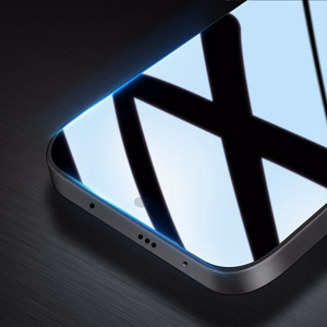 Karkaistu lasi Dux Ducis Xiaomi 12 Lite musta