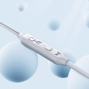 Joyroom JR-EC06 USB-C in-ear kuulokkeet - Hopeinen