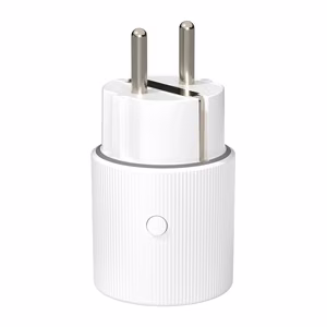 Avatto OT60-FR Smart Socket