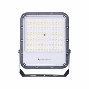 Floodlight LED PROXIM+ 100W 6500K 15000lm 230V IP65 Forever Light 150lm/W 5 years warranty