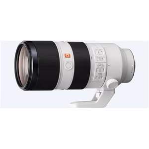 Sony SEL-70200GM FE 70-200mm F2.8 GM OSS Sony