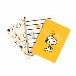 Snoopy Lazy Days A6 -muistikirjasetti, 3 kpl