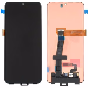 LCD-näyttö Samsung G988 S20 Ultra kosketusnäytöllä (EI KEHYSTÄ) alkuperäinen (service pack)