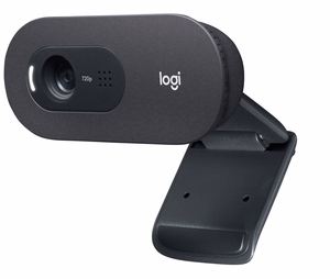 Logitech C505 webcam 1280 x 720 px USB Black