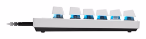 LOGI PRO X TKL RAPID White (US)