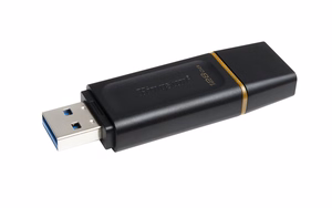 Kingston USB-muisti 128 GB USB 3.2 DT Exodia