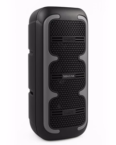 SQUEAK KARAOKEKAIUTIN BEATONE BT 5.3 SQ1009