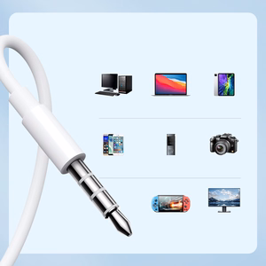 Joyroom JR-EW01 in-ear langallinen mini jack -kuulokkeet kauko-ohjaimella - valkoinen