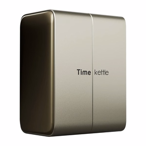 TimeKettle W4 Plus TWS -käännöskuulokkeet, kullanväriset