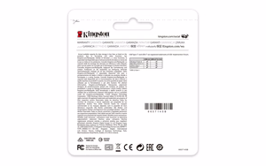 KINGSTON 256GB DataTraveler 70