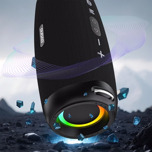 Dudao Y21Pro langaton kaiutin RGB-taustavalaistuksella Bluetooth 5.3 musta