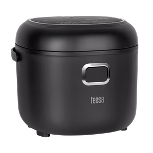 TEESA-matkakäyttöinen monitoimikeitin ja riisinkeitin, 2 l, 12–24 V / 230 V, 350 W